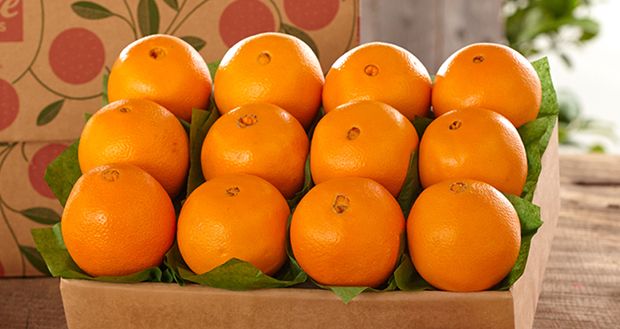 تصویر 1 از پرتقال تامسون ناول خوش ‌طعم مخصوص پذیرایی