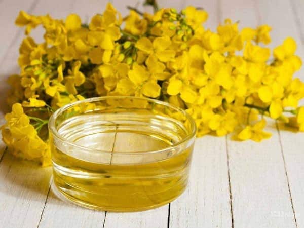 تصویر 3 از روغن کلزا طبیعی با کیفیت ممتاز
