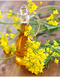 روغن کلزا طبیعی با کیفیت ممتاز