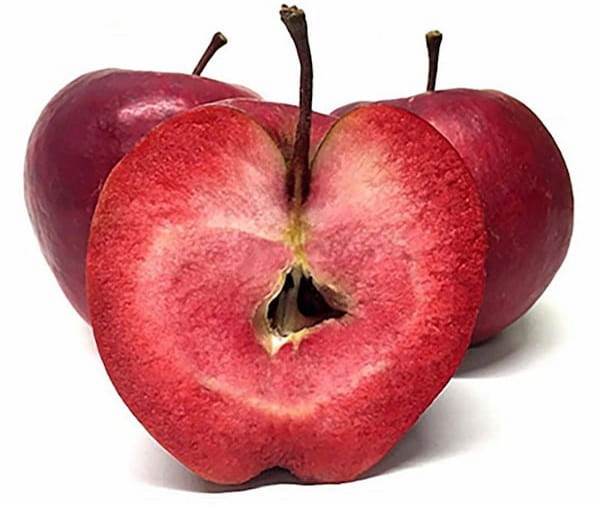 تصویر 1 از سیب درختی تو قرمز ترد و آبدار مناسب مصرف روزانه