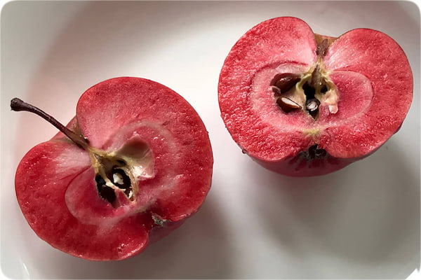 سیب درختی تو قرمز ترد و آبدار مناسب مصرف روزانه