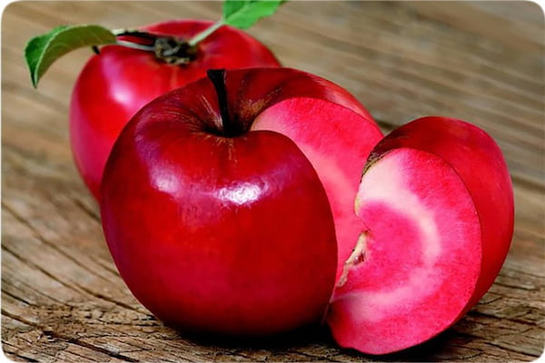 تصویر 3 از سیب درختی تو قرمز ترد و آبدار مناسب مصرف روزانه