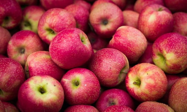 تصویر 2 از سیب درختی اعلاء انتخابی شیک برای پذیرایی