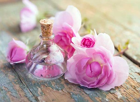 گلاب عطر سازی با عطر تند تر نسبت به قمصر