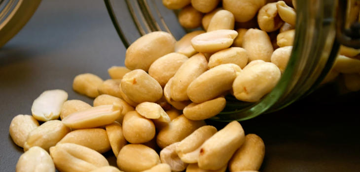 بادام زمینی زعفرانی در وزن‌ های مختلف برای فروش عمده