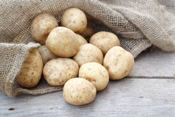 تازه ترین سیب زمینی خام + تنظیم فشار خون