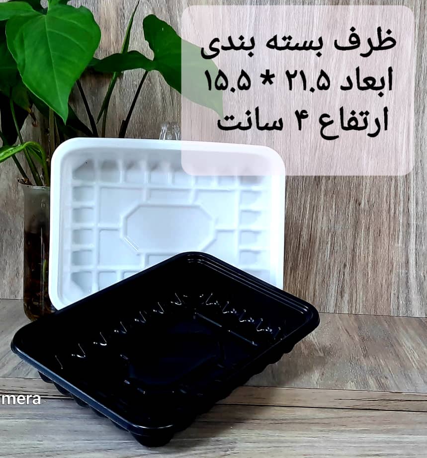 فروش عمده ظرف یکبار مصرف گوشت و مواد غذایی + ارزان ترین قیمت