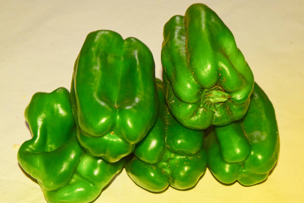 تصویر 3 از انواع فلفل دلمه چهار پر با دوام و ماندگاری بالا