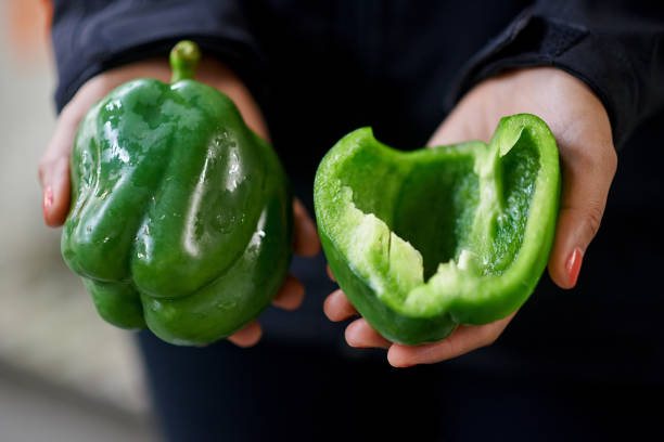 تصویر 1 از انواع فلفل دلمه چهار پر با دوام و ماندگاری بالا