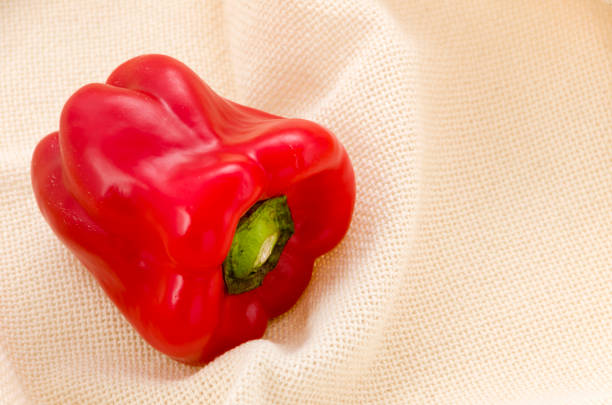 تصویر 2 از بهترین فلفل دلمه رنگی + عمده و موجود در همه رنگ ها