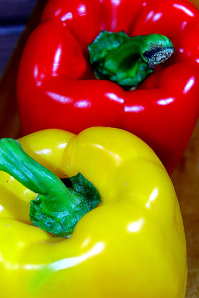 بهترین فلفل دلمه رنگی + عمده و موجود در همه رنگ ها