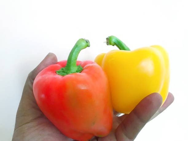 تصویر 1 از بهترین فلفل دلمه رنگی + عمده و موجود در همه رنگ ها