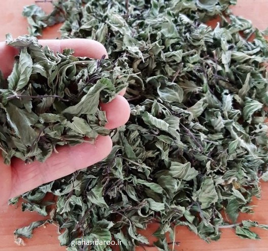 تصویر 4 از خرید نعناع فلفلی برگ صادراتی با کیفیت ممتاز و عطر تند طبیعی