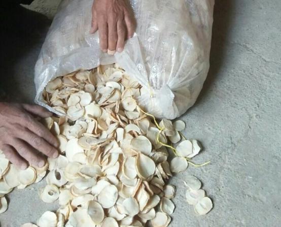 تصویر 1 از فروش موسیر اسلایس صادراتی با عطر تند و طعم اصیل ایرانی