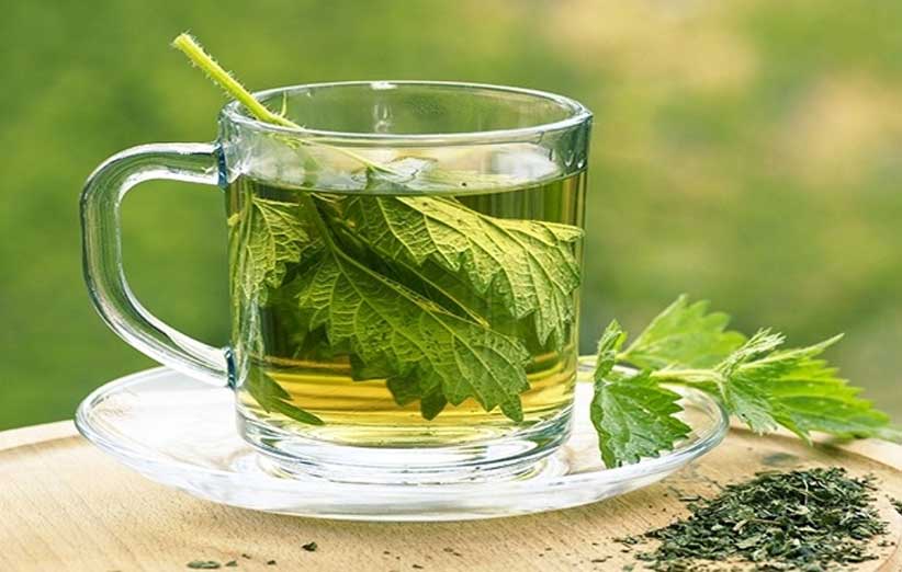 تصویر 2 از خرید و فروش عمده دمنوش نعناع با کیفیت بالا