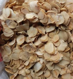 فروش و خرید موسیر تازه و خشک با کیفیت ممتاز