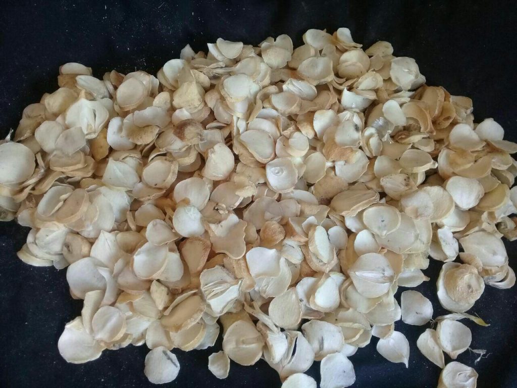 تصویر 2 از فروش و خرید موسیر تازه و خشک با کیفیت ممتاز