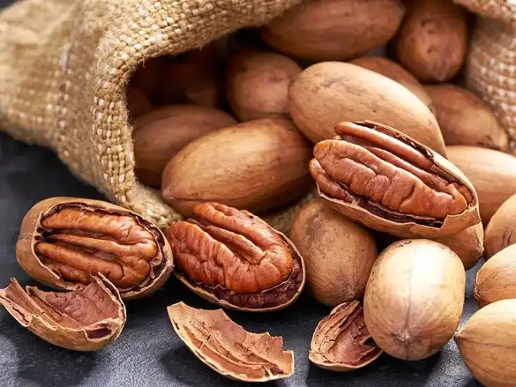 فروش گردو پکان