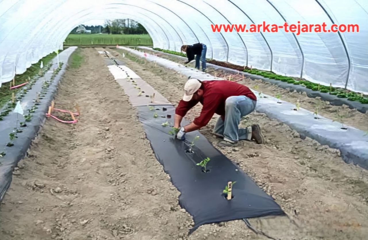 فروش ویژه اینترنتی نایلون مالچ گلخانه + قیمت عادلانه