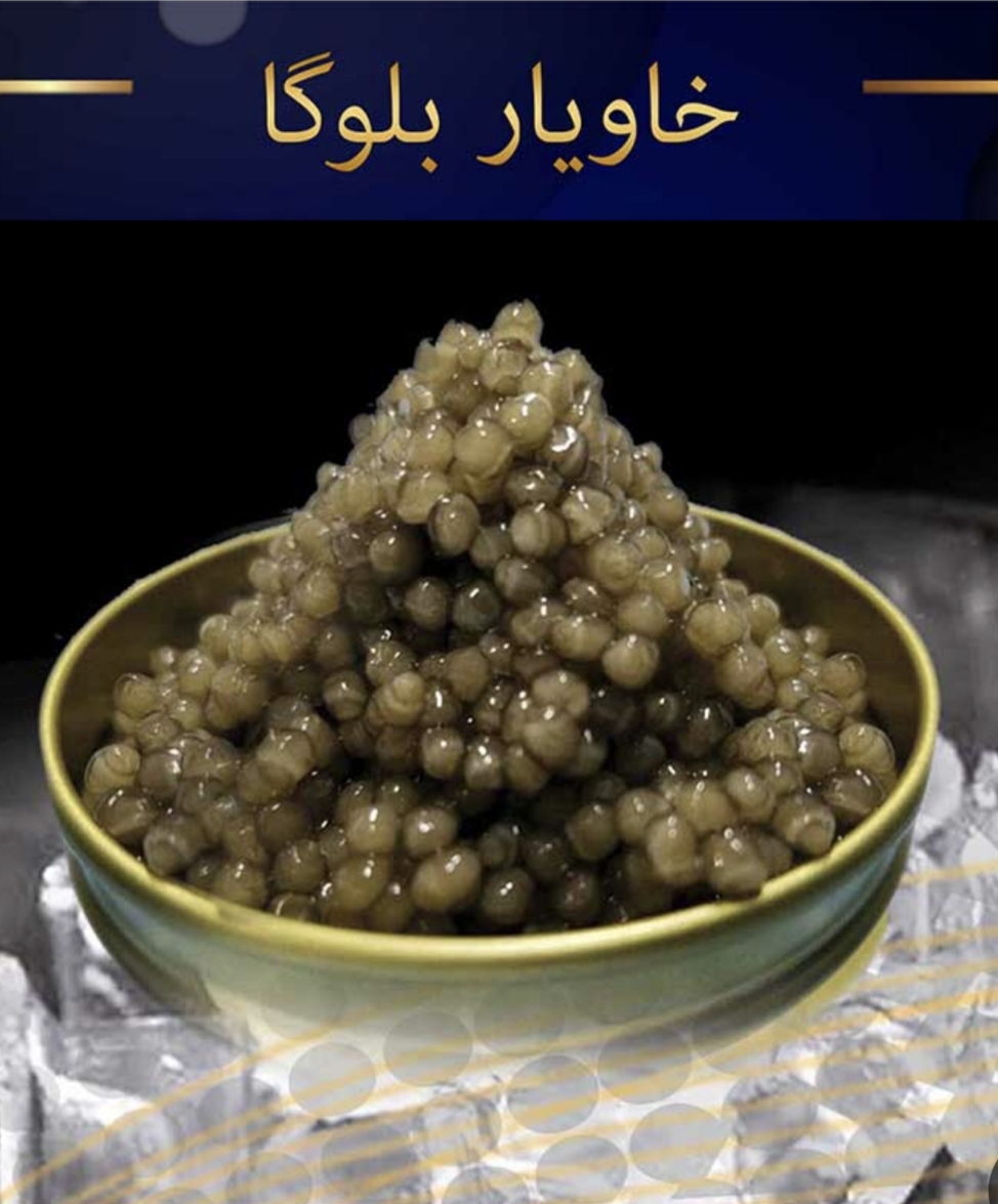 خاویار بلوگا