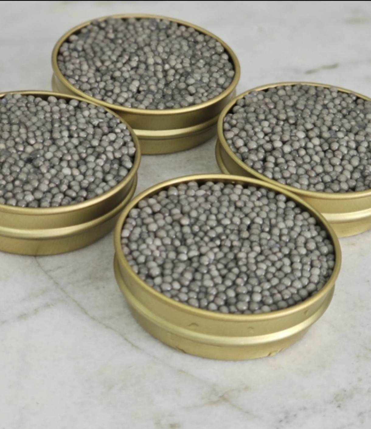 بیوگرافی خاویار بلوگا