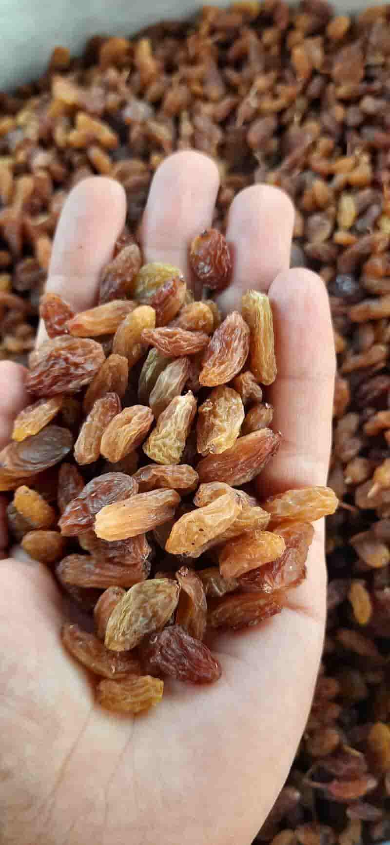 کشمش آفتابی کاشمر + لذیذ