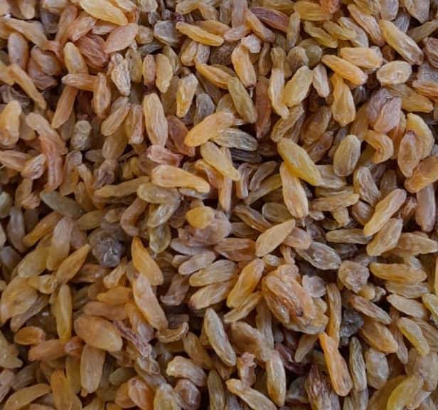 تصویر 1 از کشمش آفتابی کاشمر + لذیذ