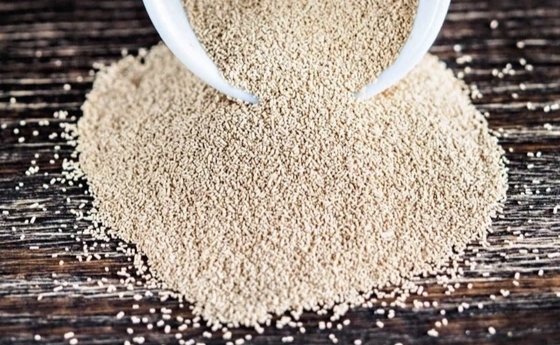 تصویر 5 از خمیر مایه فوری ترک با قدرت تخمیر بالا