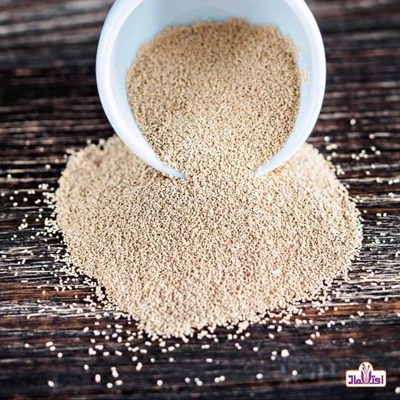 خمیر مایه فوری خارجی خلوص بالا بدون افزودنی