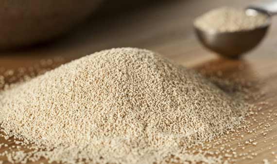 تصویر 2 از خمیر مایه فوری خارجی خلوص بالا بدون افزودنی