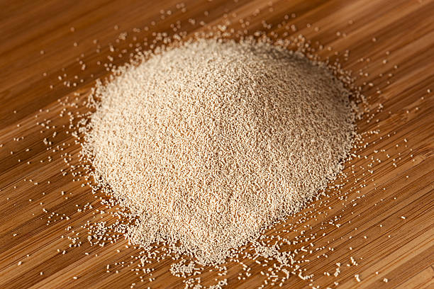 تصویر 4 از خمیر مایه فوری خارجی خلوص بالا بدون افزودنی