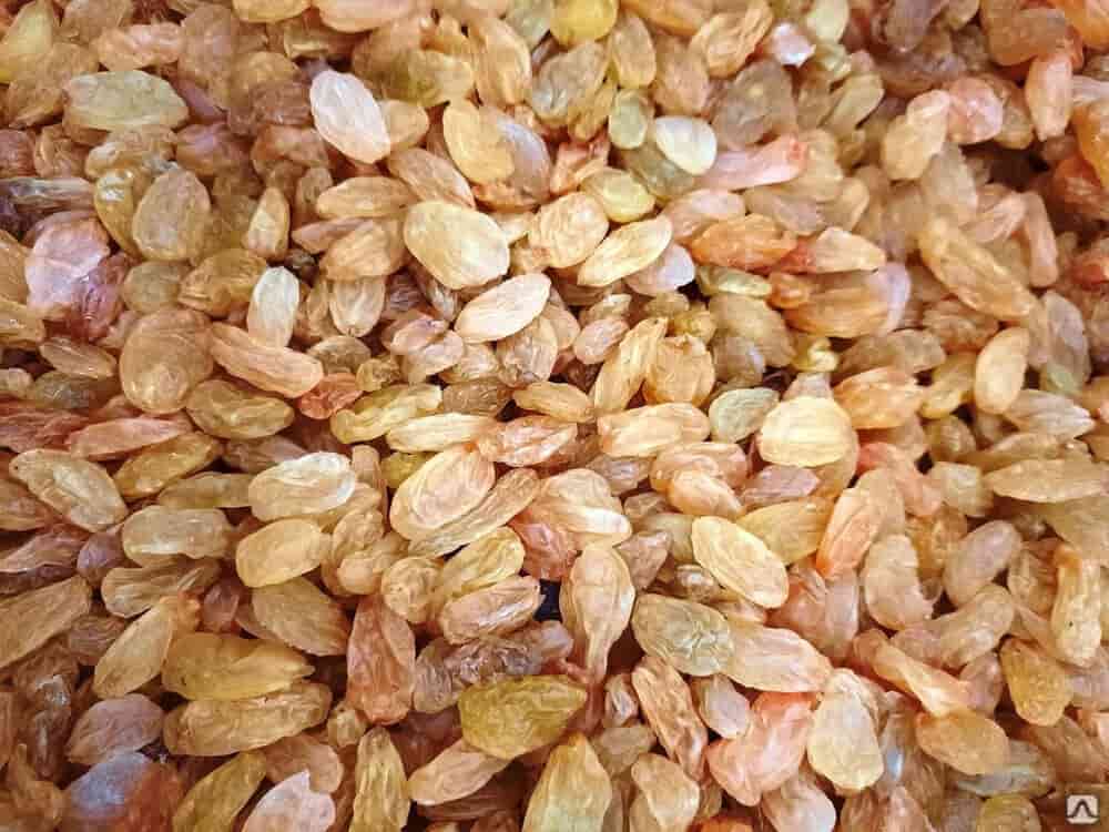 تصویر 3 از کشمش آفتابی ملکان با کیفیت + ارزان