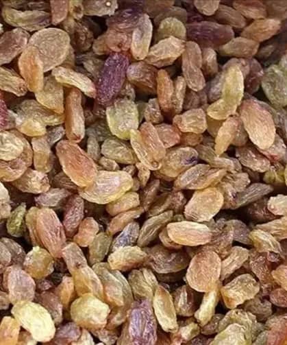 تصویر 4 از کشمش آفتابی ملکان با کیفیت + ارزان