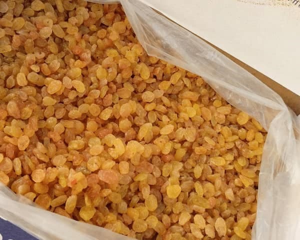 تصویر 1 از کشمش گلدن طلایی و خوش‌طعم با کیفیت ممتاز