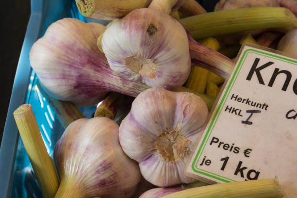 سیر سفید و ارگانیک با خواص آنتی‌ اکسیدانی بالا