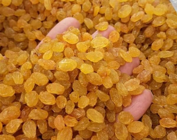 تصویر 4 از کشمش ملایر درجه یک با طعم غنی و خواص غذایی بالا