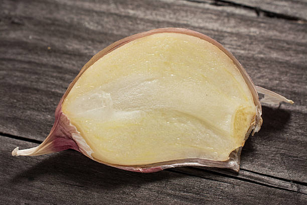 تصویر 4 از سیر سفید همدان تقویت‌ کننده سیستم ایمنی و قلب