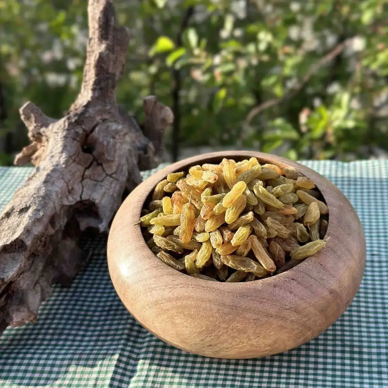 کشمش سبز قلمی درجه یک + خرید مستقیم از باغدار