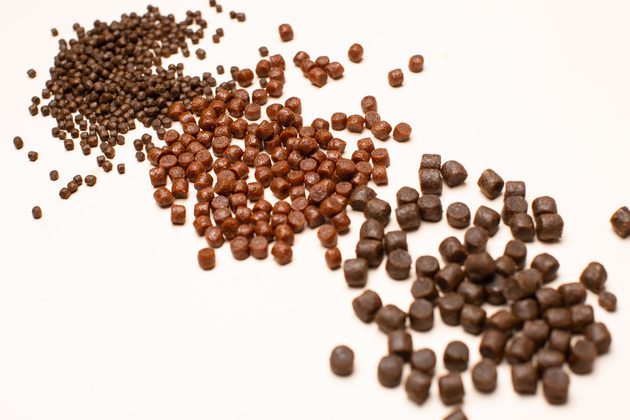 تصویر 2 از خوراک ماهی اسکار در برنامه تغذیه ماهیان آکواریومی