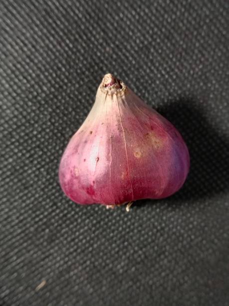 سیر قرمز گزینه‌ ای سالم برای زندگی روزمره