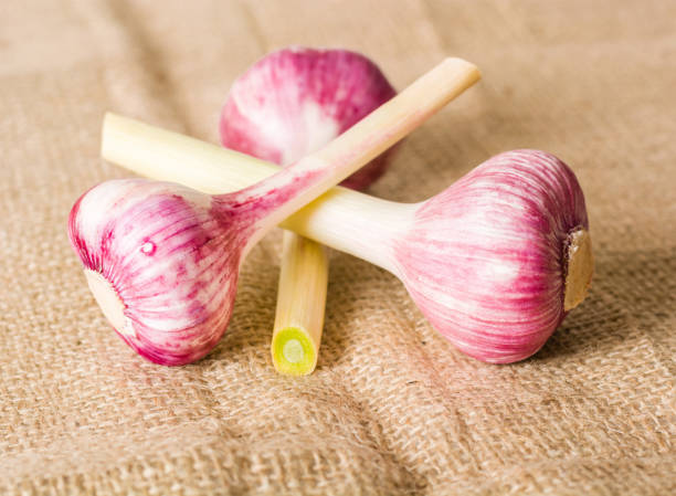 تصویر 4 از سیر قرمز گزینه‌ ای سالم برای زندگی روزمره