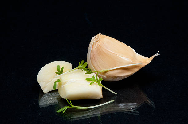 سیر صدفی طعم‌ دهنده طبیعی و مفید برای سلامتی