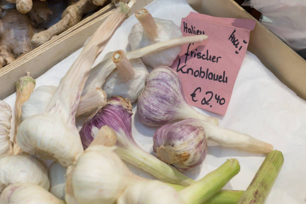 تصویر 1 از سیر صدفی طعم‌ دهنده طبیعی و مفید برای سلامتی