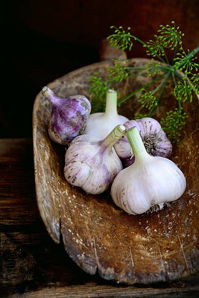 تصویر 1 از سیر بنفش مناسب برای انواع پخت