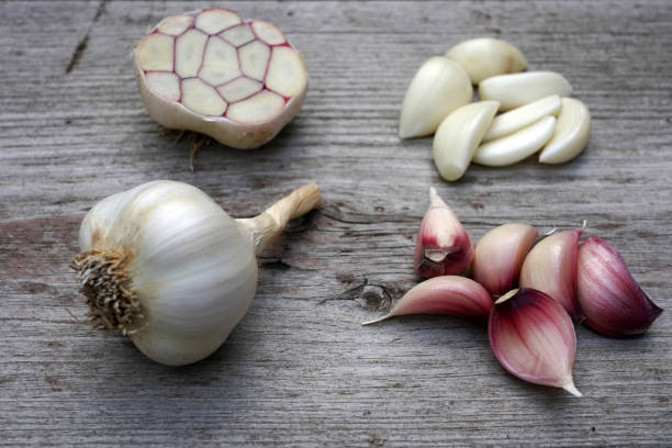 تصویر 2 از سیر بنفش مناسب برای انواع پخت