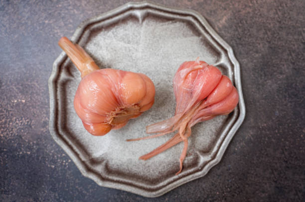 تصویر 4 از سیر بنفش مناسب برای انواع پخت