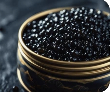 خواص درمانی خاویار بلوگا