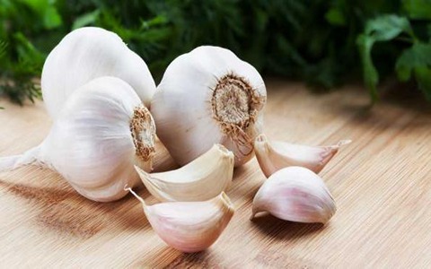 سیر صادراتی چاشنی سالم و کاربردی