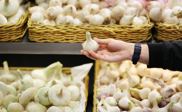 تصویر 1 از سیر شمال همراه همیشگی غذا های خوش‌ طعم و سالم