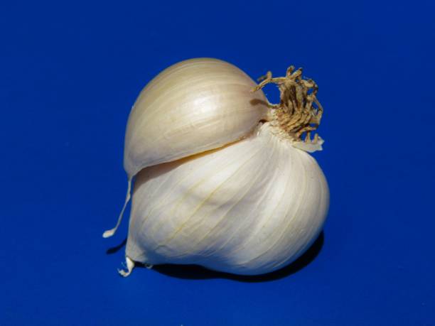 سیر شمال همراه همیشگی غذا های خوش‌ طعم و سالم